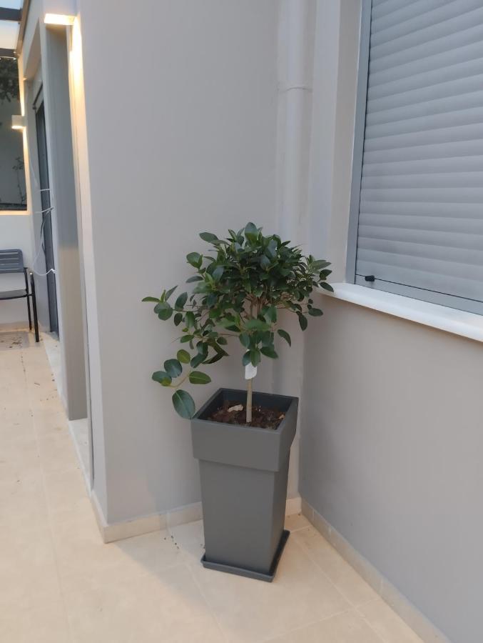 Animus Premium Apt Ναύπλιο Εξωτερικό φωτογραφία